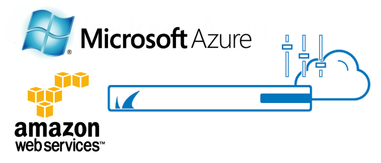 Public Cloud Hosting Commin Image for Azure and AWS_15_NOV_2017.png